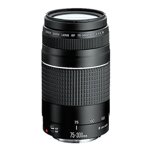 Canon-75-300MM-lens-upright